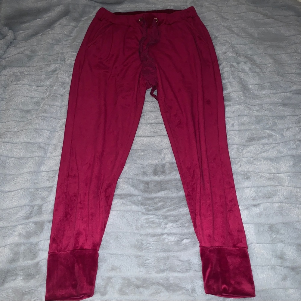 Anthropologie Saturday Sunday Velour Sweatpants